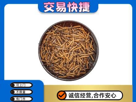 运城垣曲县回收散虫草